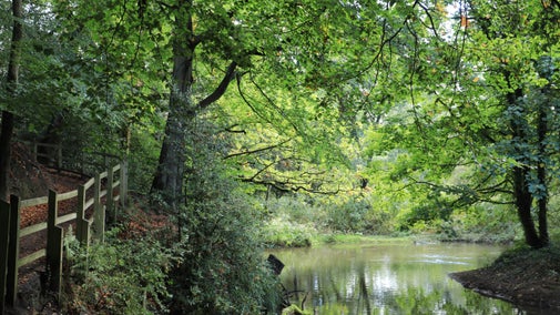 View of the River Bollin surrounded by trees in the southern woods at Quarry Bank